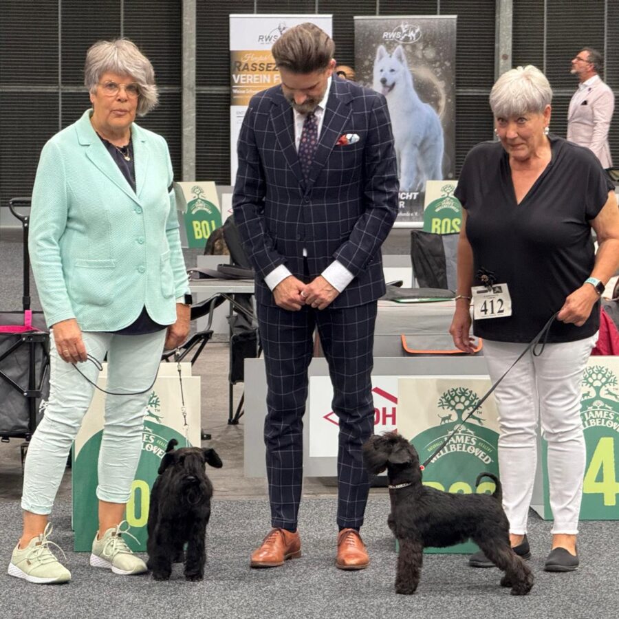 8049f290-1a1e-4c59-a400-311ad53dec4a