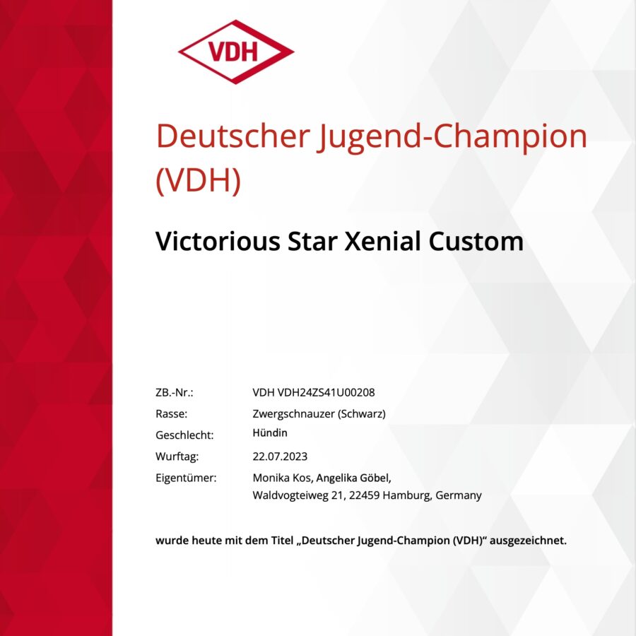 Deutscher Jugend Champion